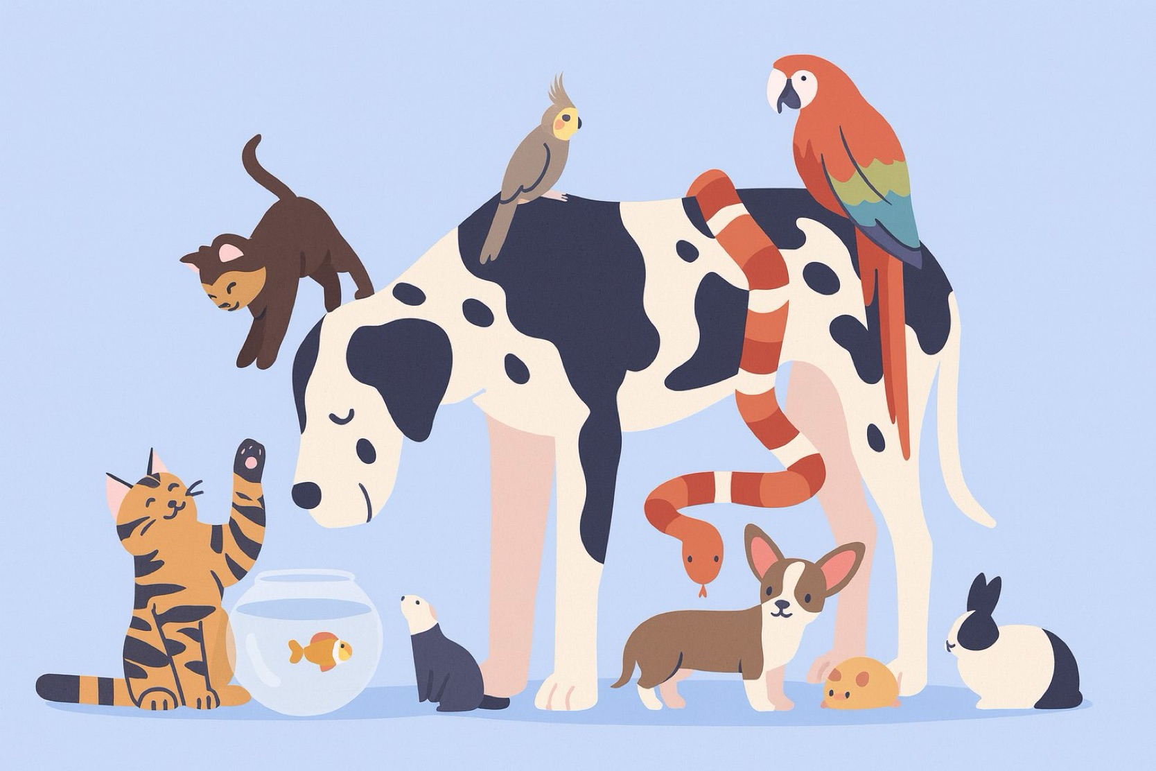 Pets
